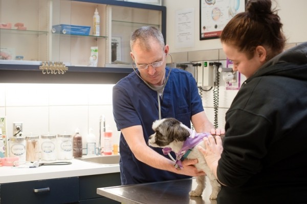 Our veterinarians will discuss your pet's results and answer any questions you may have.