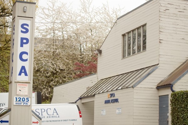 You can find us at 1205 E 7th Avenue, in the same complex as the BC SPCA Vancouver Branch!