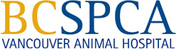 BC SPCA Vancouver Animal Hospital